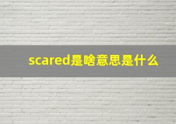 scared是啥意思是什么