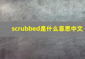 scrubbed是什么意思中文