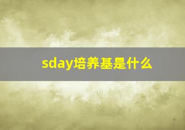 sday培养基是什么