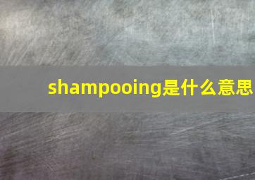 shampooing是什么意思