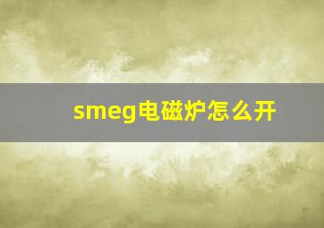 smeg电磁炉怎么开