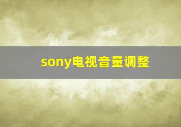 sony电视音量调整