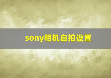 sony相机自拍设置