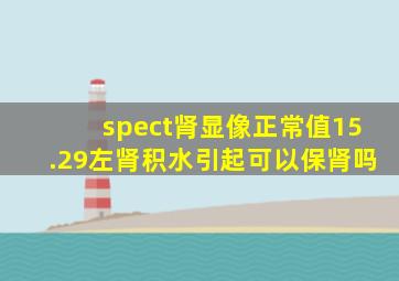 spect肾显像正常值15.29左肾积水引起可以保肾吗