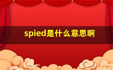 spied是什么意思啊