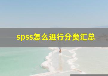 spss怎么进行分类汇总