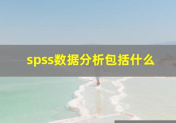 spss数据分析包括什么