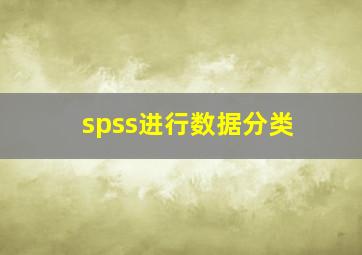 spss进行数据分类