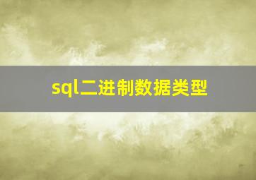 sql二进制数据类型