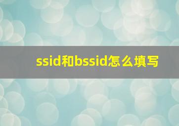 ssid和bssid怎么填写