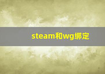 steam和wg绑定