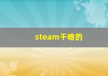 steam干啥的