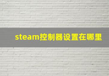 steam控制器设置在哪里