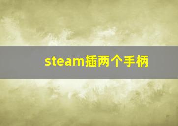 steam插两个手柄