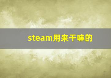 steam用来干嘛的