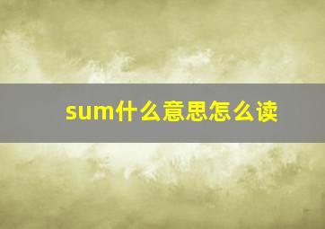 sum什么意思怎么读