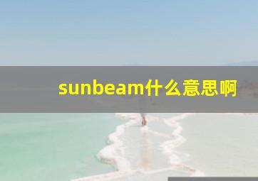 sunbeam什么意思啊