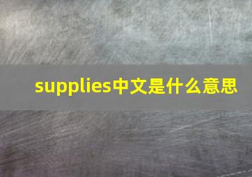 supplies中文是什么意思