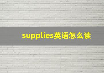 supplies英语怎么读