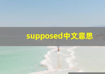 supposed中文意思