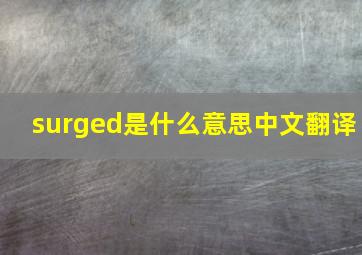 surged是什么意思中文翻译