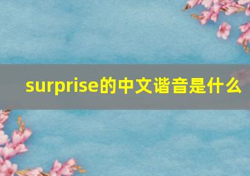 surprise的中文谐音是什么