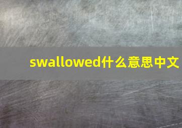 swallowed什么意思中文