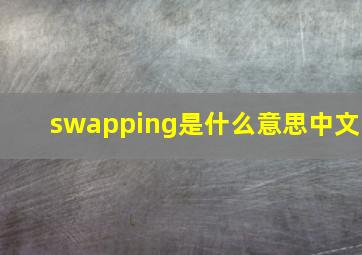 swapping是什么意思中文