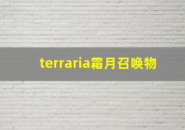 terraria霜月召唤物