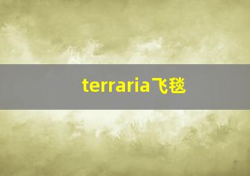 terraria飞毯