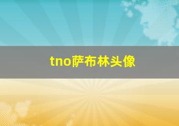 tno萨布林头像