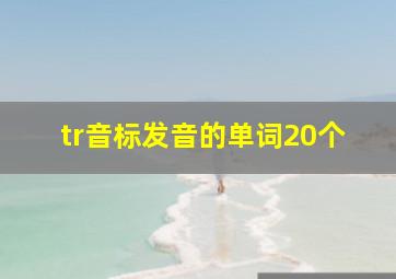 tr音标发音的单词20个