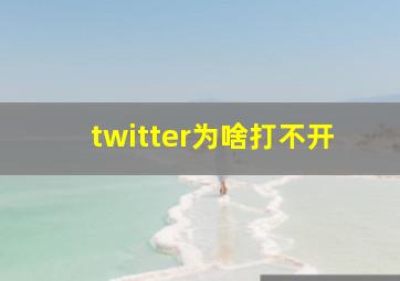 twitter为啥打不开