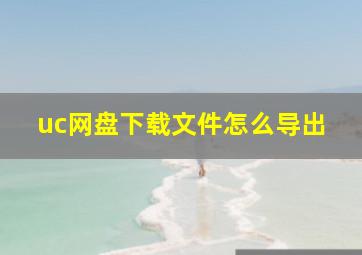 uc网盘下载文件怎么导出