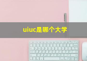 uiuc是哪个大学