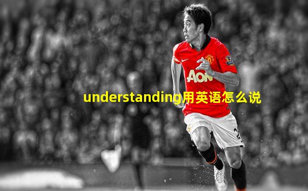 understanding用英语怎么说