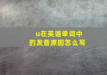 u在英语单词中的发音原因怎么写