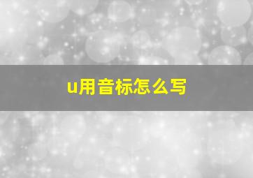 u用音标怎么写