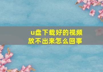 u盘下载好的视频放不出来怎么回事