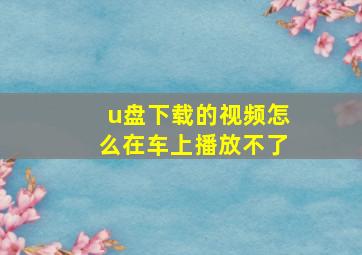 u盘下载的视频怎么在车上播放不了