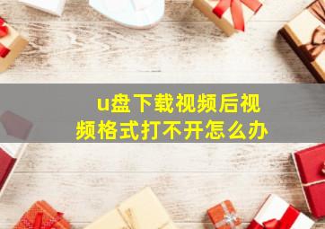 u盘下载视频后视频格式打不开怎么办