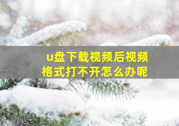 u盘下载视频后视频格式打不开怎么办呢