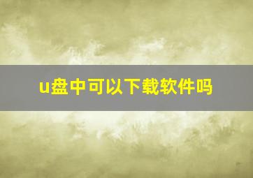 u盘中可以下载软件吗