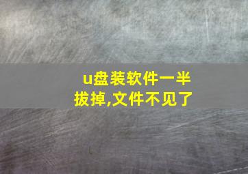 u盘装软件一半拔掉,文件不见了