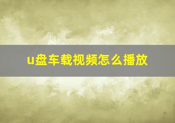 u盘车载视频怎么播放