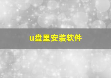 u盘里安装软件