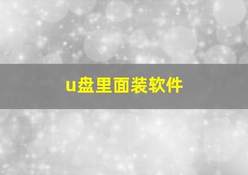 u盘里面装软件