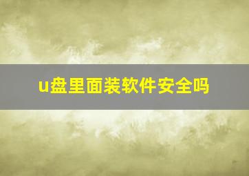 u盘里面装软件安全吗