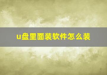 u盘里面装软件怎么装