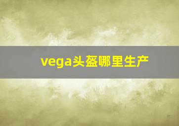 vega头盔哪里生产